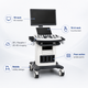 MSLCU46002 Trolley Color Doppler Ultrasound System — 19-Inch HD Monitor, 10.4-Inch Touchscreen, 3D/4D Imaging, Four Probe Ports | Two-Probe Configuration