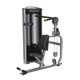 Matrix Versa Abs Crunch Weight Machines