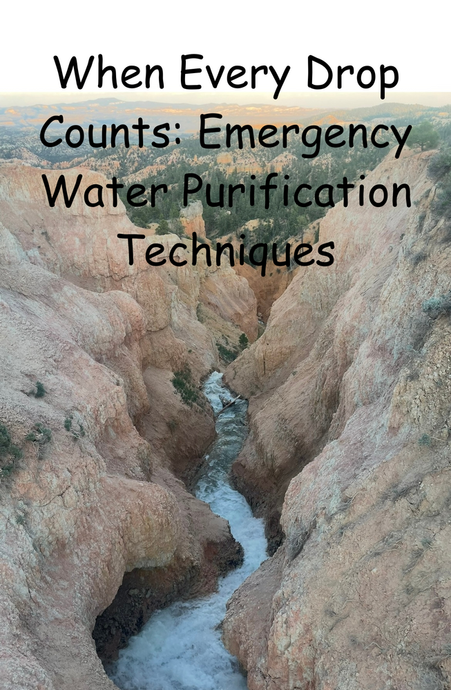 When Every Drop Counts: Emergency Water Purification Techniques