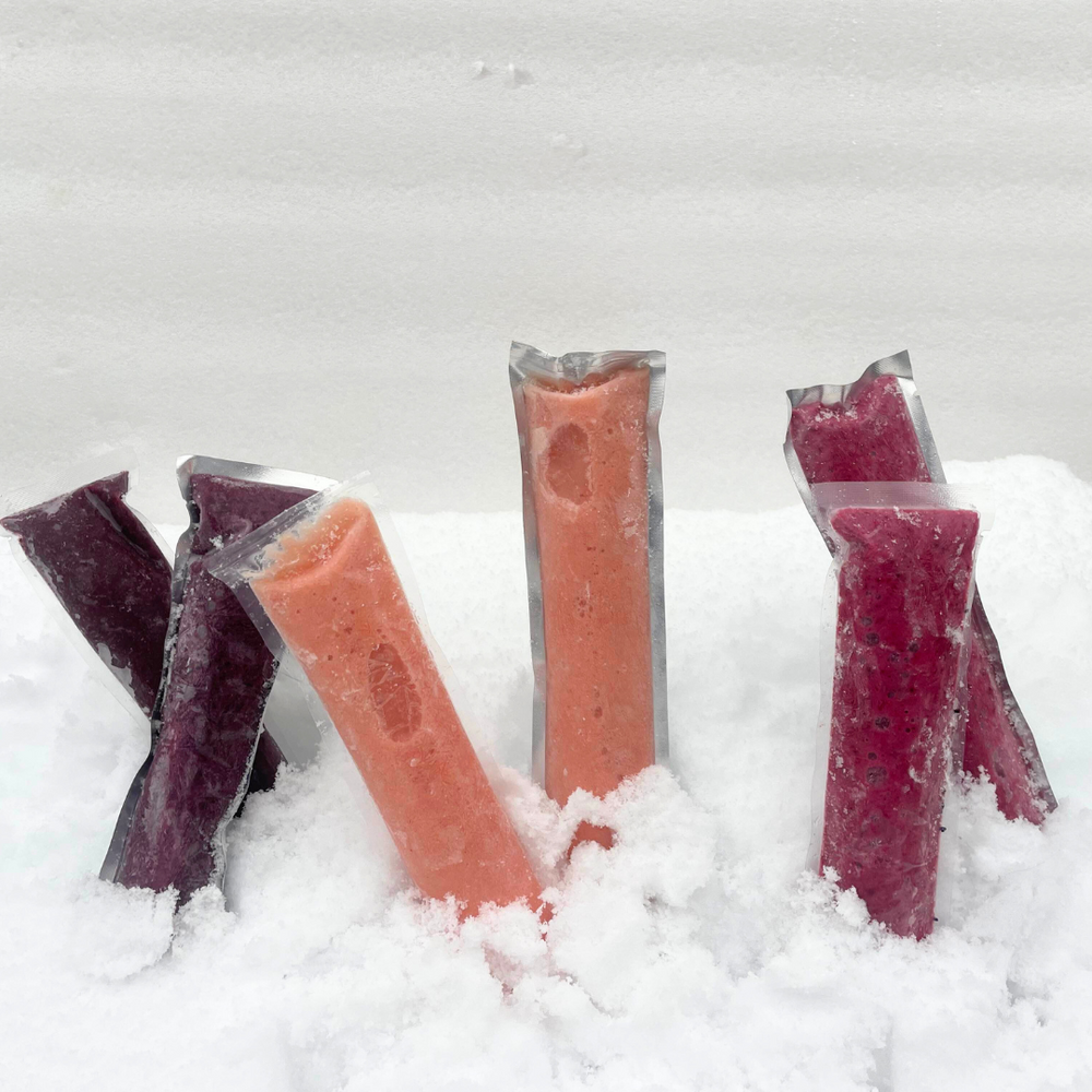 DIY Copycat Go-Gurt Pops: Fun, Healthy, & Easy with PackFreshUSA!