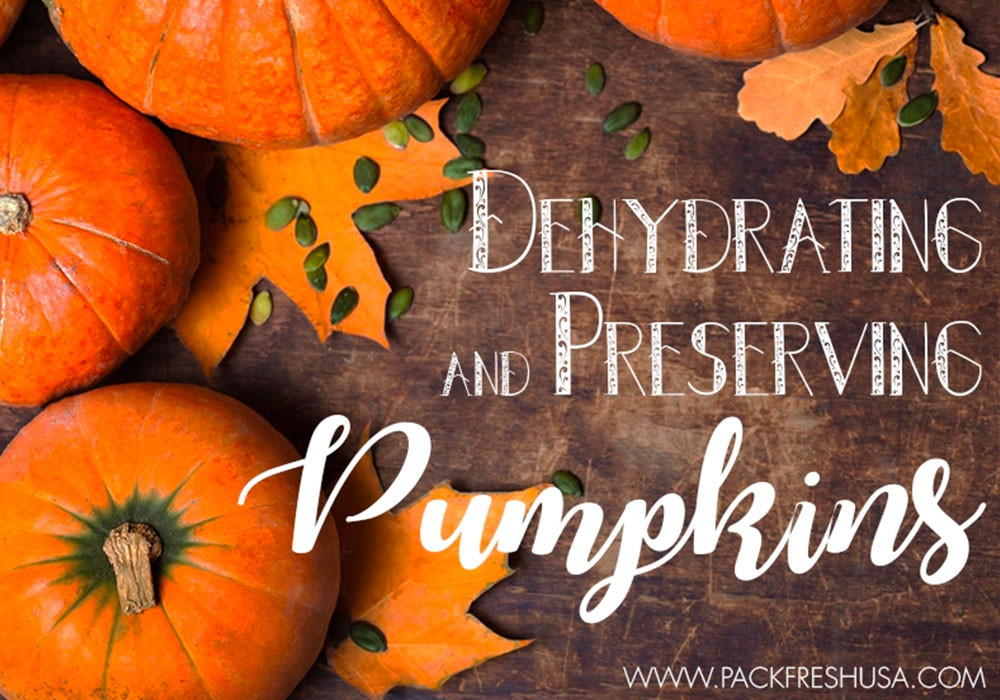Dehydrating and Preserving Pumpkins