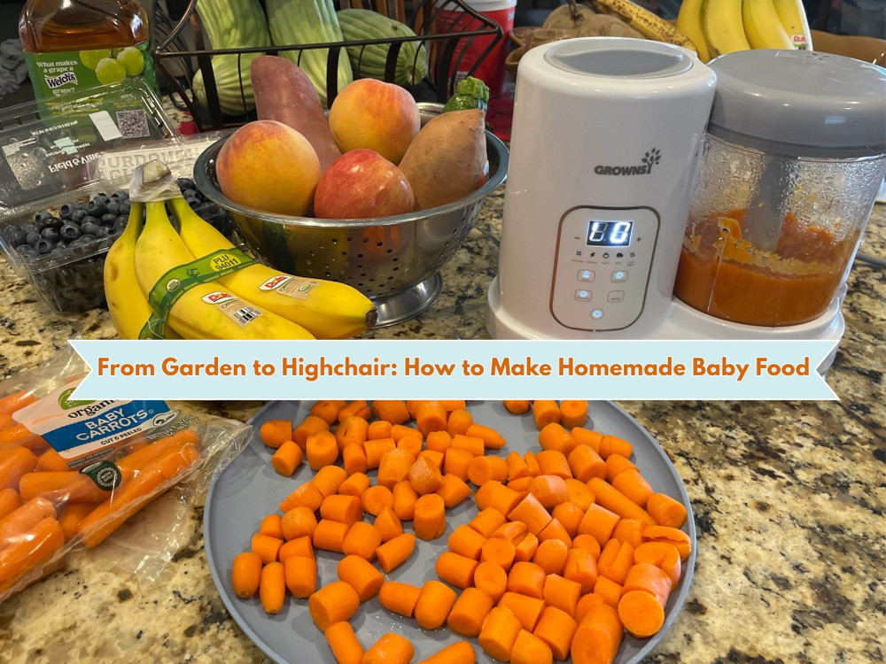 From Garden to Highchair: How to Make Homemade Baby Food