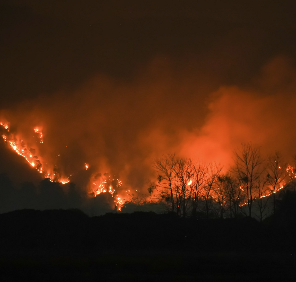 Making a Preparedness Plan - Fire Evacuation