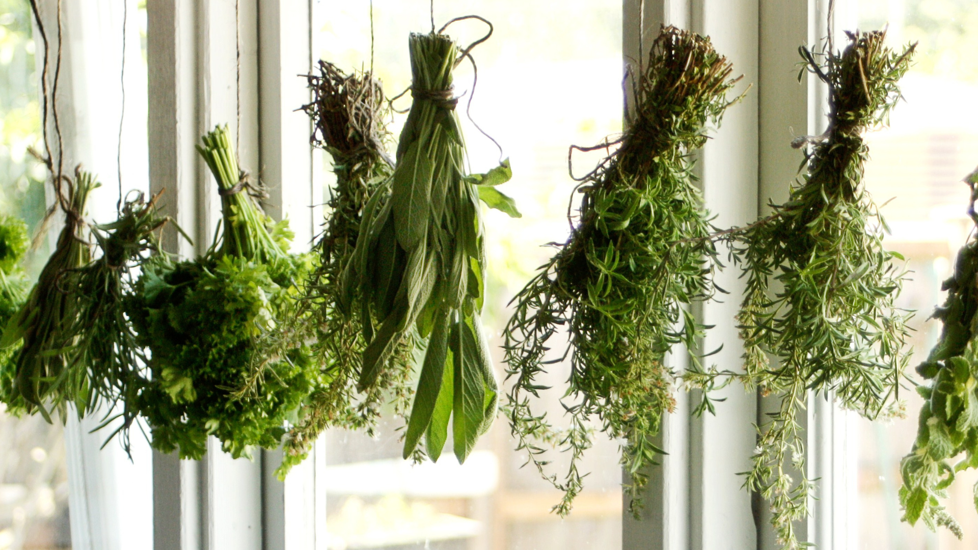 Dry Herbs