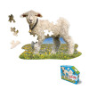I am Lil' Lamb 48pc
