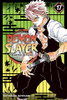 Demon Slayer Vol 17