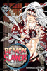 Demon Slayer Vol 22