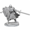 D&D Frameworks: Human Fighter Male