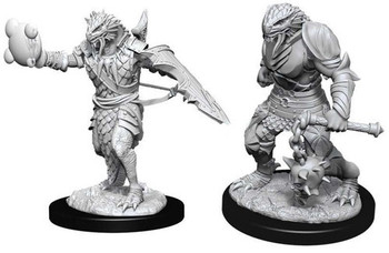 Dragonborn Paladin (Male) W11 Dragonborn Paladin (Male) W11
