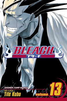 Bleach, Vol. 13