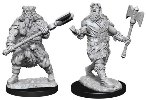 Human Barbarian Male W14