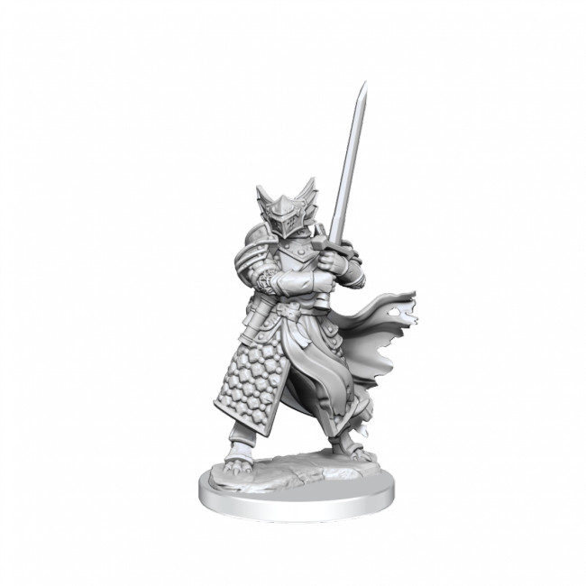 D&D Frameworks: Dragonborn Paladin Male