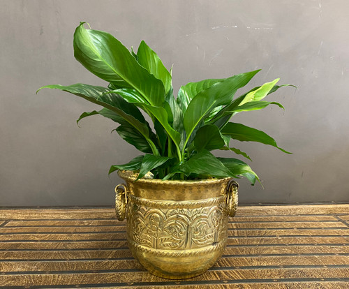 Handmade  Brass Planter with Rings - Small