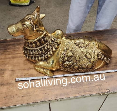 Brass Nandi , Holy Cow