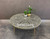 Bone Inlay floral Coffee table with Brass Legs - Black