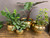 Round Brass Stripes planter -Xtra  Large