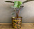 Brass and Copper bucket Planter - Large