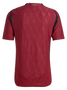 Belgium 2024 Authentic Men's Home Shirt