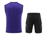 Germany 2024 Men's Purple Training Tank Top