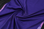 Germany 2024 Men's Purple Training Tank Top