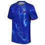 PALMER #20 Chelsea 24/25 Authentic Men's Home Shirt - PL Font