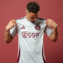 Ajax 24/25 Stadium Men's Third Shirt