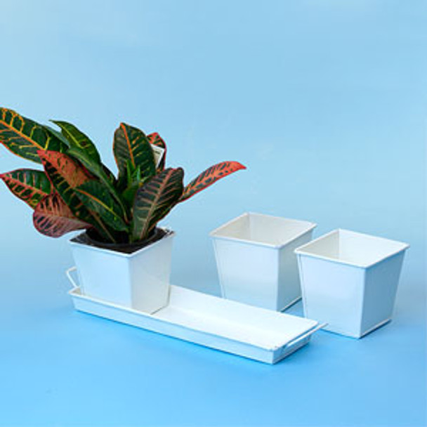 Metal Square 3 Pot Herb Tin Container with Tray - White