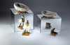 Mirrored Acrylic Risers and Cubes