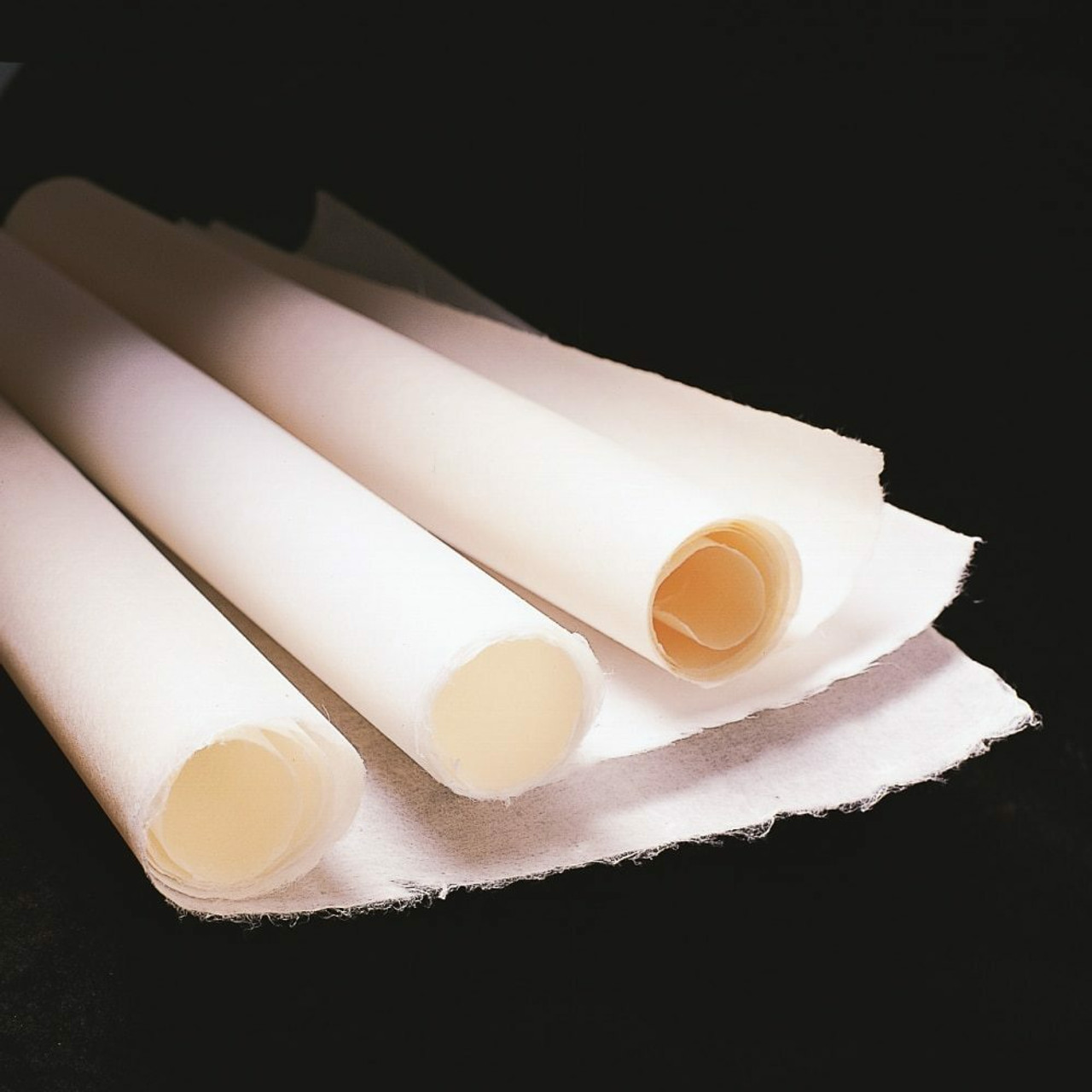 Is Paper Ash the Same As Wood Ash: Unveiling Differences