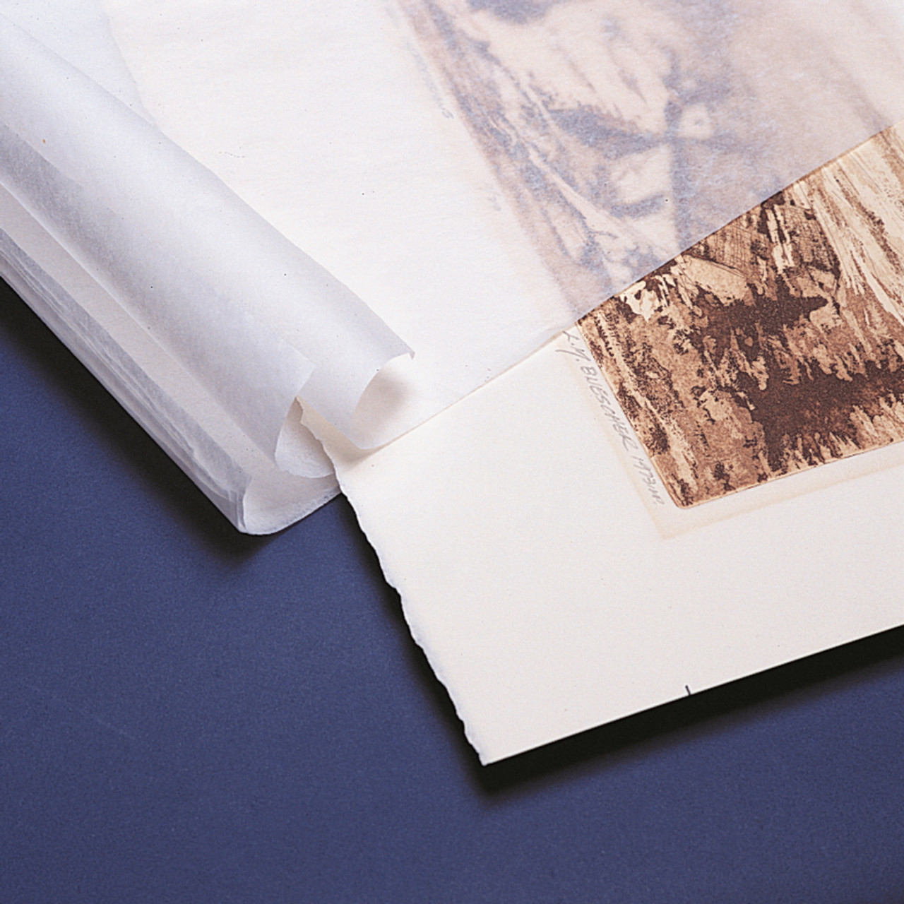 Shredded Archival Quality Tissue - Hollinger Metal Edge