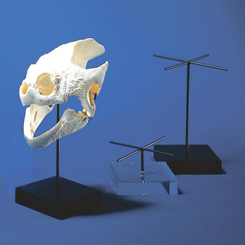 Riker Mounts Hollinger Metal Edge