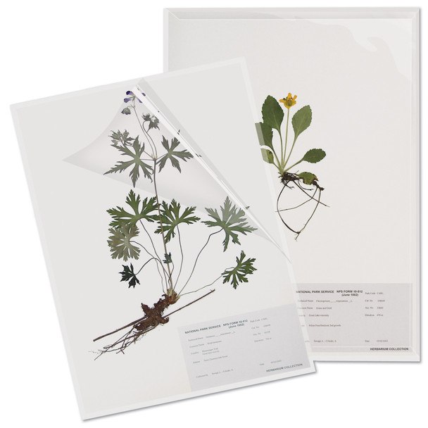 Self-Sealing L-Sleeve for Herbarium Sheets