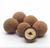 Hazelnuts Covered in Dark Dusted Chocolate