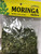 El Jalisciense Moringa