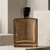 Rio Reed Diffuser Bottle Set, Black Cork, 5 oz Fossil with Diffuser Oil on Pale Stone