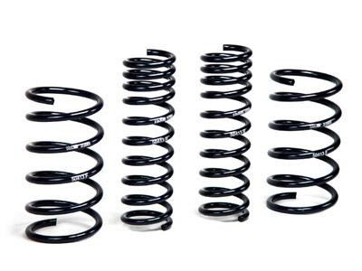 H&R 93-95 BMW 530i/540i E34 Sport Spring (w/o Self-Leveling/Non Touring) - 50413 Photo - Primary