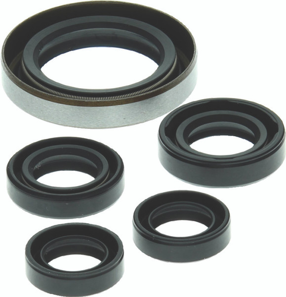 QuadBoss 06-07 Polaris Outlaw 500 Oil Seal Set - 564349