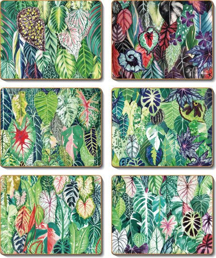 The Happy Houseplant Coasters