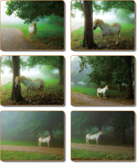 Pony Placemats