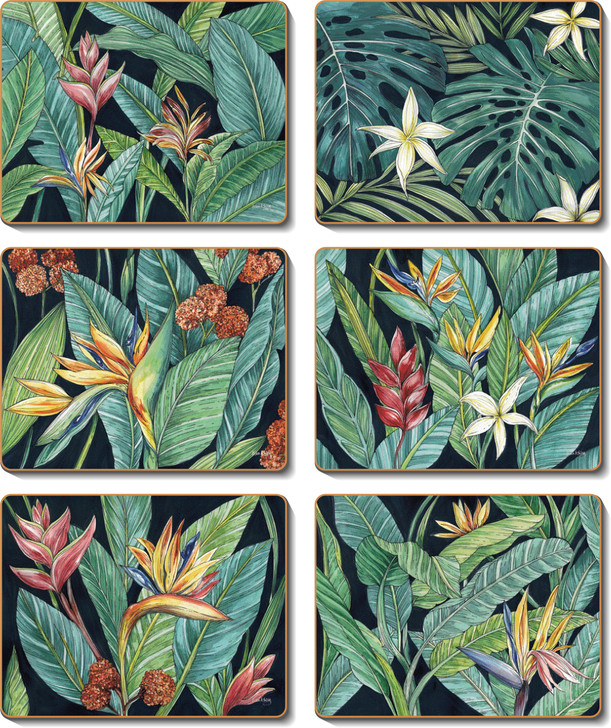 Tropical Midnight Coasters