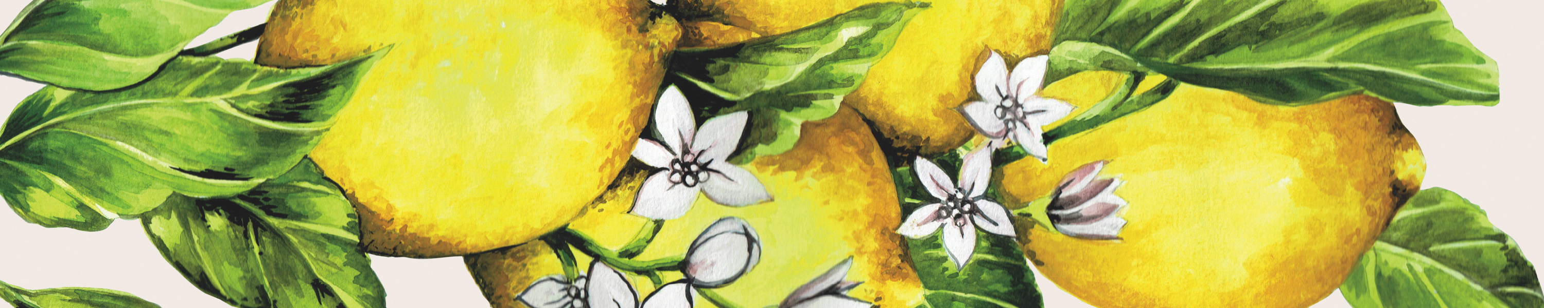 botanical-fruit-banner.jpg