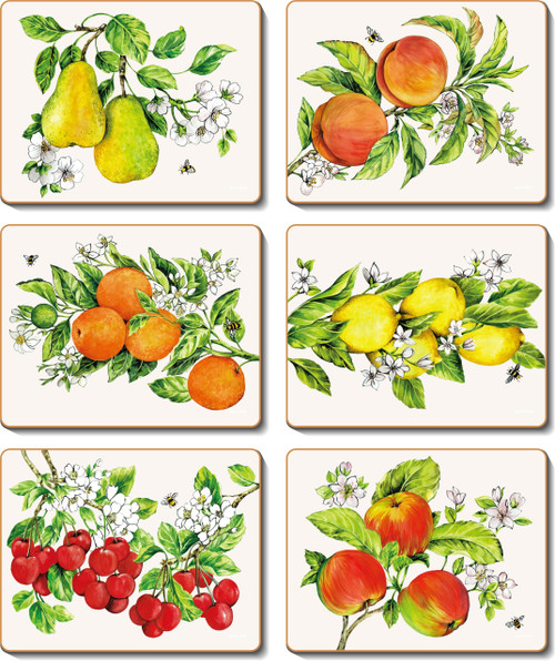 Botanical Fruit Coasters Cinnamon Table