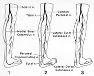 Leg Numbness During Meditation