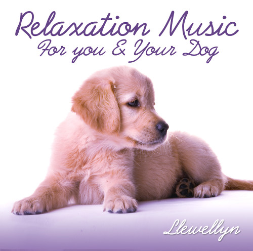 Relaxation Music for You and Your Dog - Llewellyn