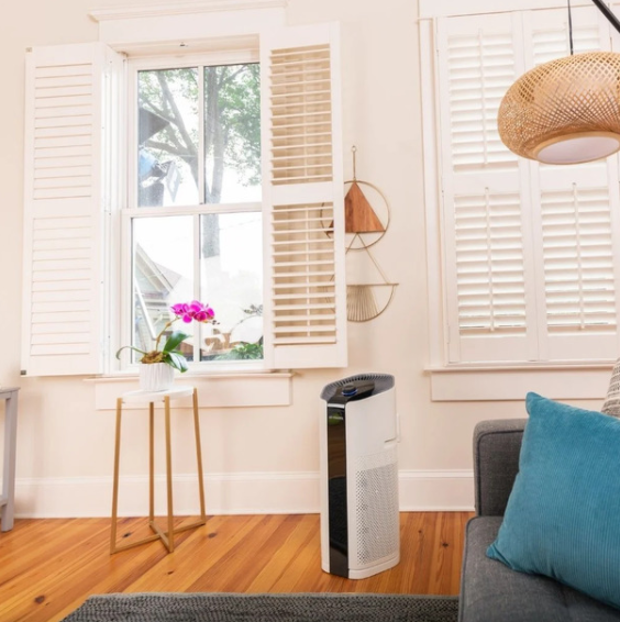 Air Purifiers for Removing Smoke Particles Air Health Air Health