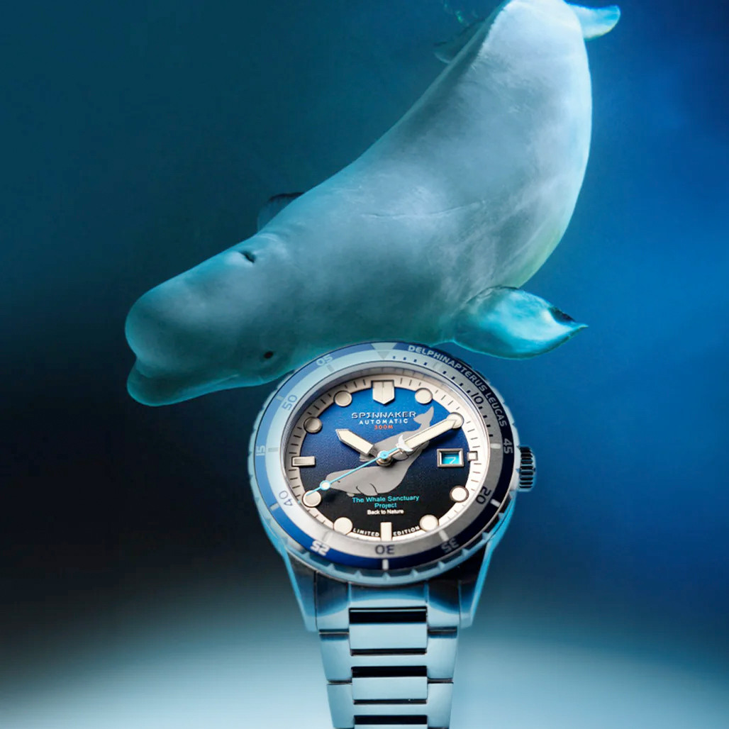Spinnaker Hass Automatic Whale Sanctuary Project LE Blue Dial #SP