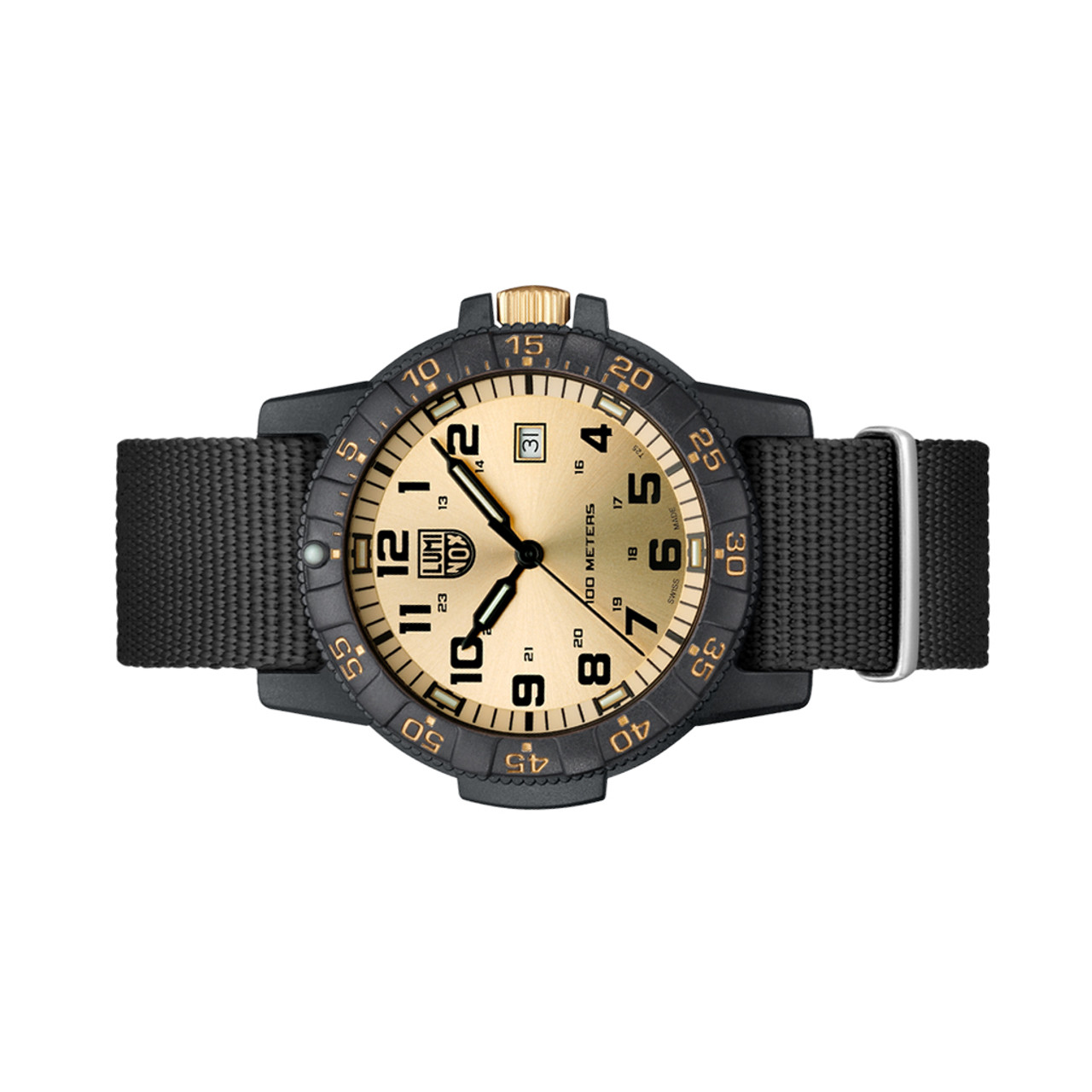 Luminox 44mm Leatherback Sea Turtle Outdoor Watch #XS.ZC25.GP