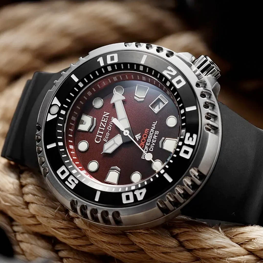 MOTEREY WATCH Co. ダイバーズ シーファントム ユーズド美品 Citzen Eco-Drive Promaster Dive E365 Dive Watch with Red Dial