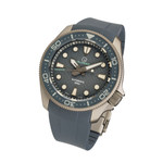 Islander Sands Point Titanium Diver with Grey Whale Tail Dial #ISL-259