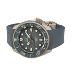 Islander Sands Point Titanium Diver with Grey Whale Tail Dial #ISL-259